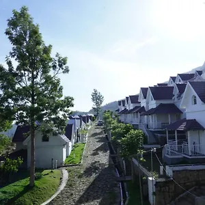 https://mirth-hotels-resorts.kerala-hotels.net